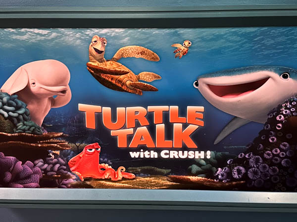 Turtle Talk With Crush