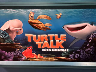 Turtle Talk With Crush